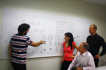 Group of mathematicians meeting, looking at maths formulas on whiteboard.