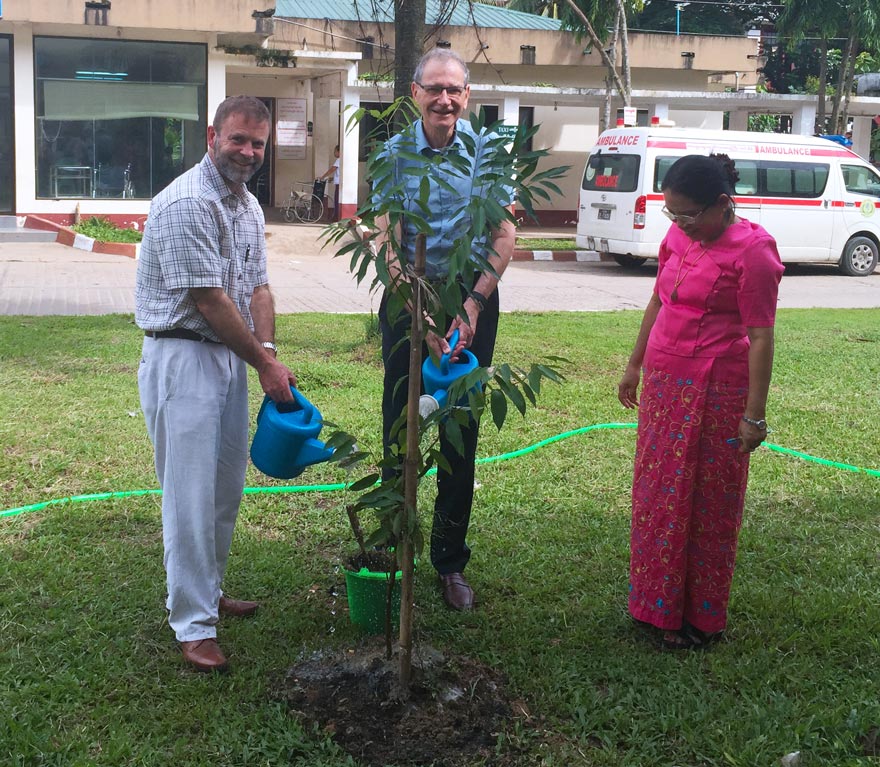 Professor Anthony Kelleher (left) and the late Professor David Cooper (centre) watering the Kant Kaw tree which they planted with Professor Mar Mar Kyi which stands outside IGH to this day.