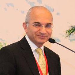 Professor Emad M El-Omar