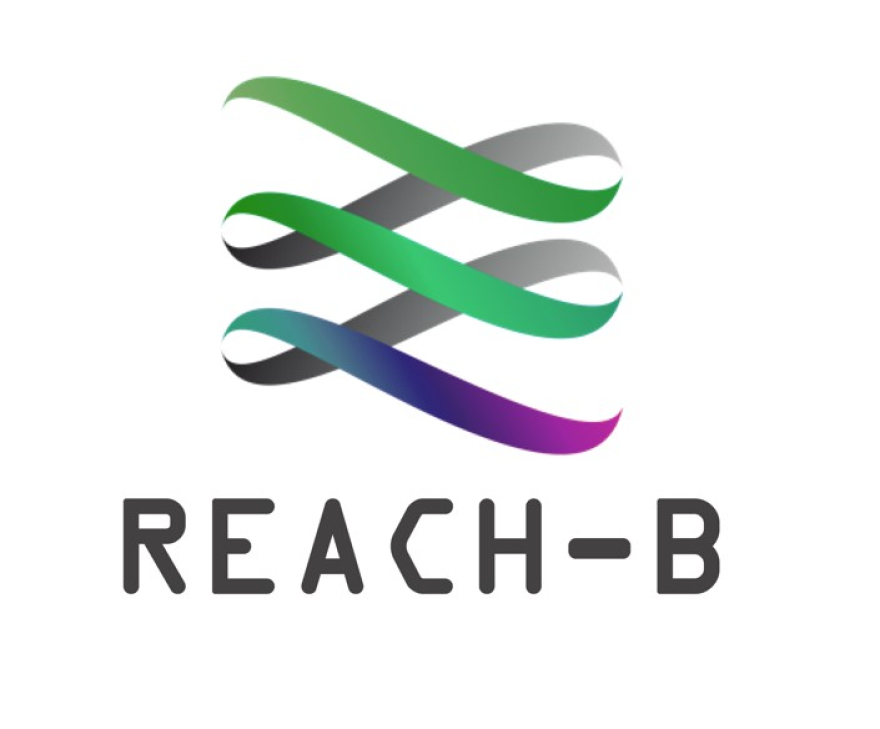 REACH-B logo