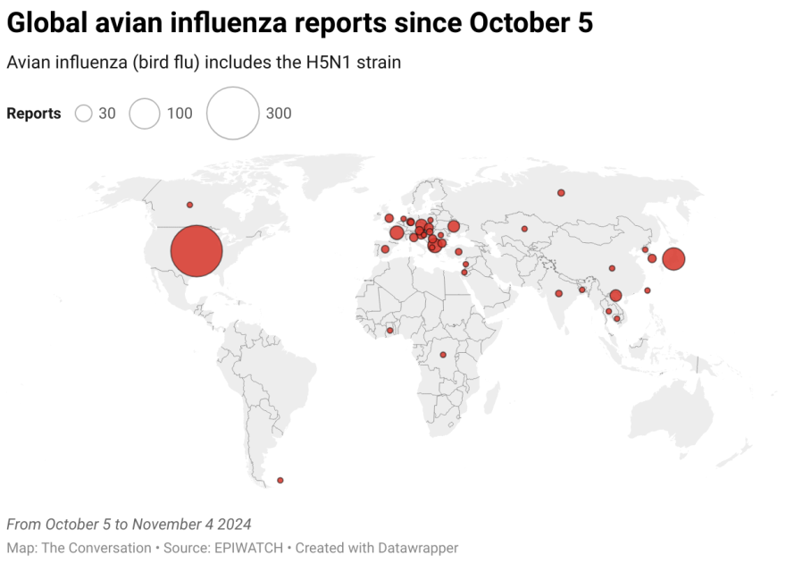 Avian influenza data visualisation map